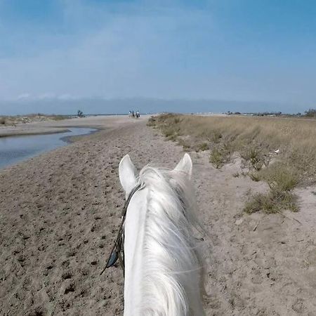 "Le Nature" Camargue Jardin อาร์ลส์ ภายนอก รูปภาพ