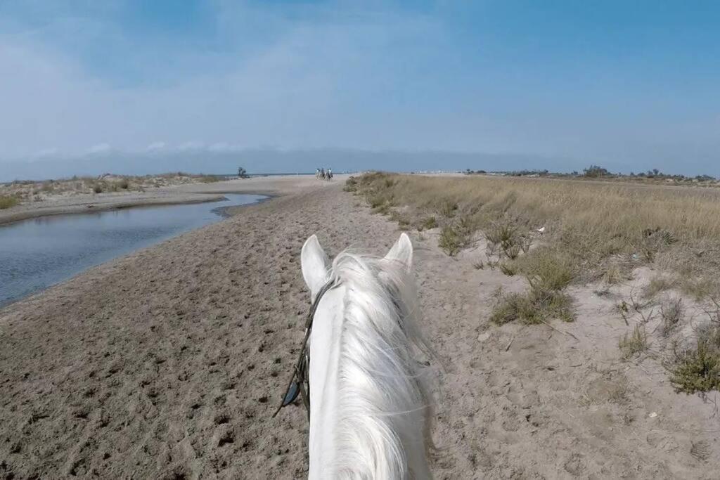"Le Nature" Camargue Jardin อาร์ลส์ ภายนอก รูปภาพ