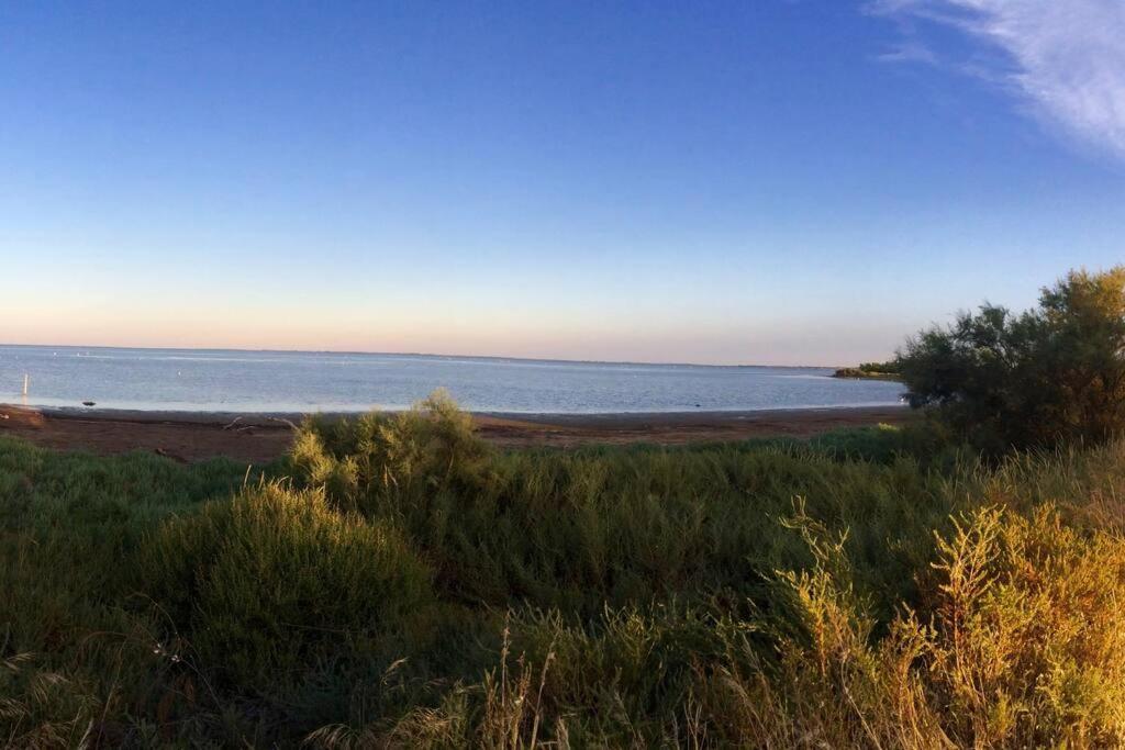 "Le Nature" Camargue Jardin อาร์ลส์ ภายนอก รูปภาพ