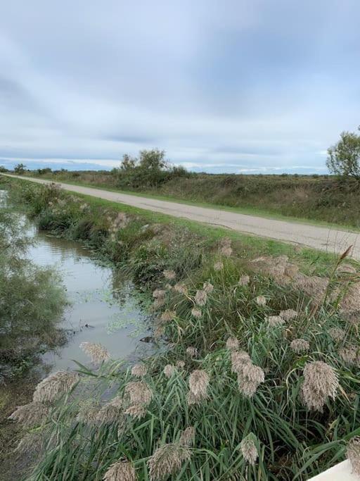 "Le Nature" Camargue Jardin อาร์ลส์ ภายนอก รูปภาพ